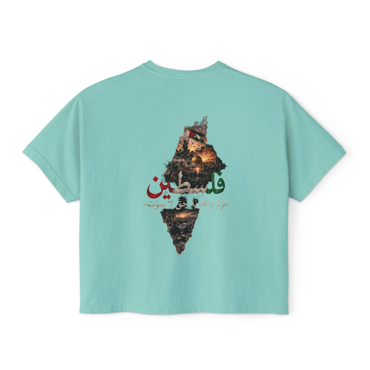 Menthe – T-shirt boxy pour femme Filastin, vue de dos avec l'illustration Filastin et la carte de la Palestine